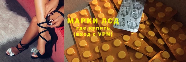 гидра Новозыбков