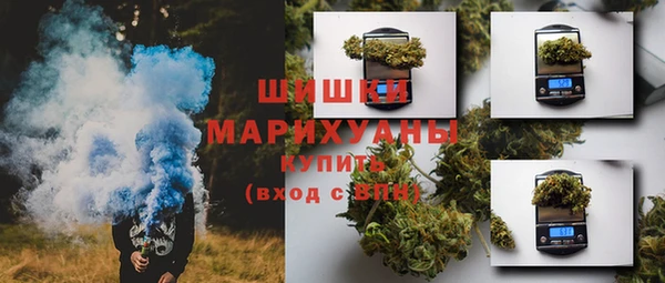 гидра Новозыбков