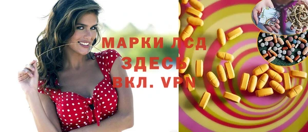 спайс Нея
