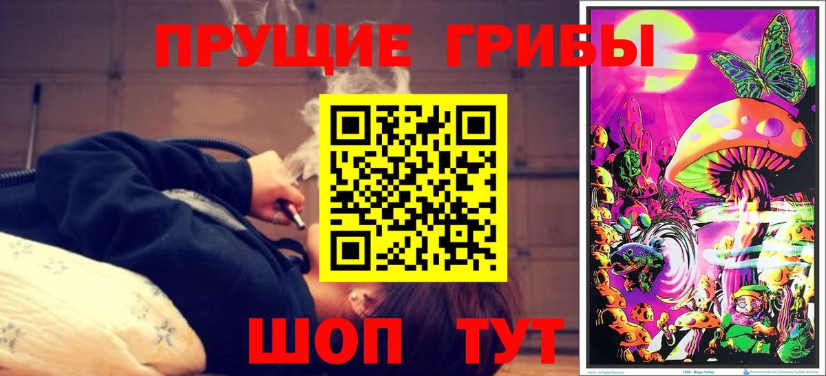 Псилоцибиновые грибы Cubensis  Ревда  Псилоцибиновые грибы Psilocybine cubensis 