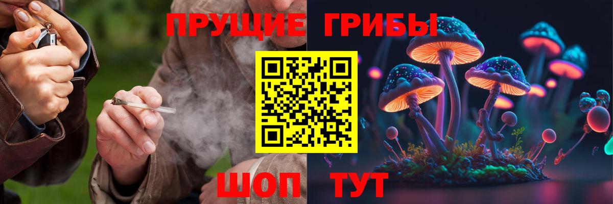 Галлюциногенные грибы прущие грибы  Вход с VPN  Ревда 